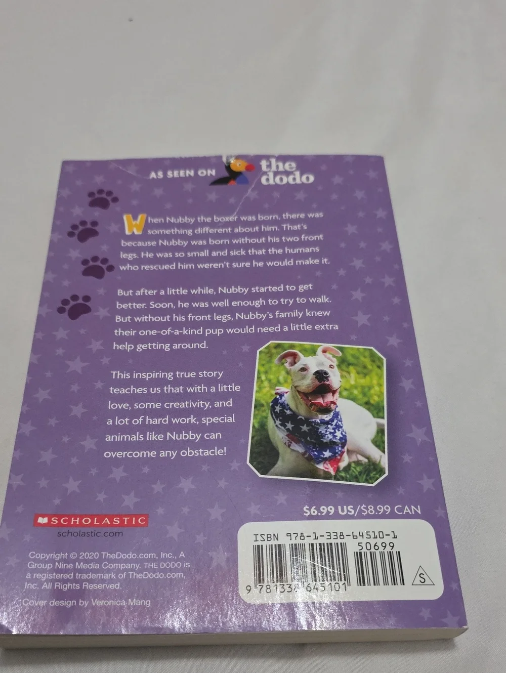 Scholastic Nubby's Story